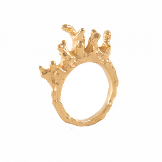 The Coral Ring I